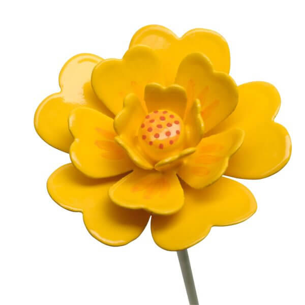 Marigold Blossom by Wendt & Kühn Marigold Blossom by Wendt & Kühn Image